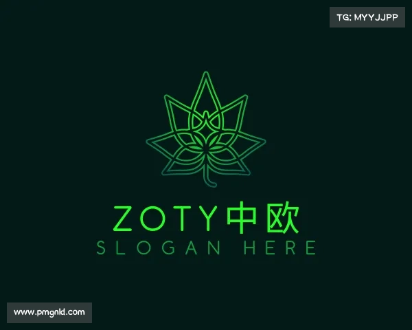 介绍&#x7a;&#x6f;&#x74;&#x79;&#x4e2d;&#x6b27;